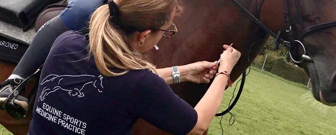 Emmanuelle is taking a blood sample from a horse.
