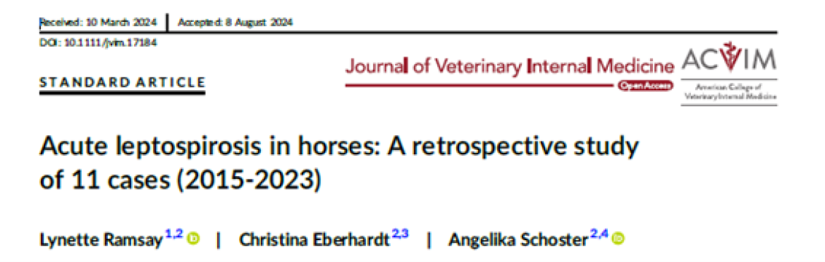 The published article